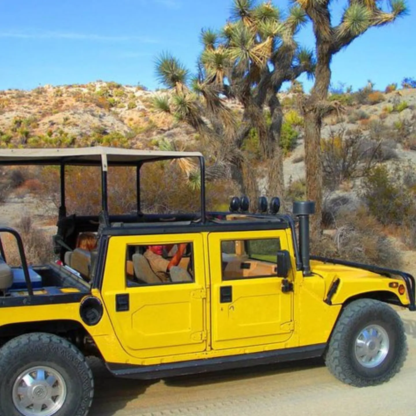 Joshua Tree Hummer Tour with Adventure Hummer Tours