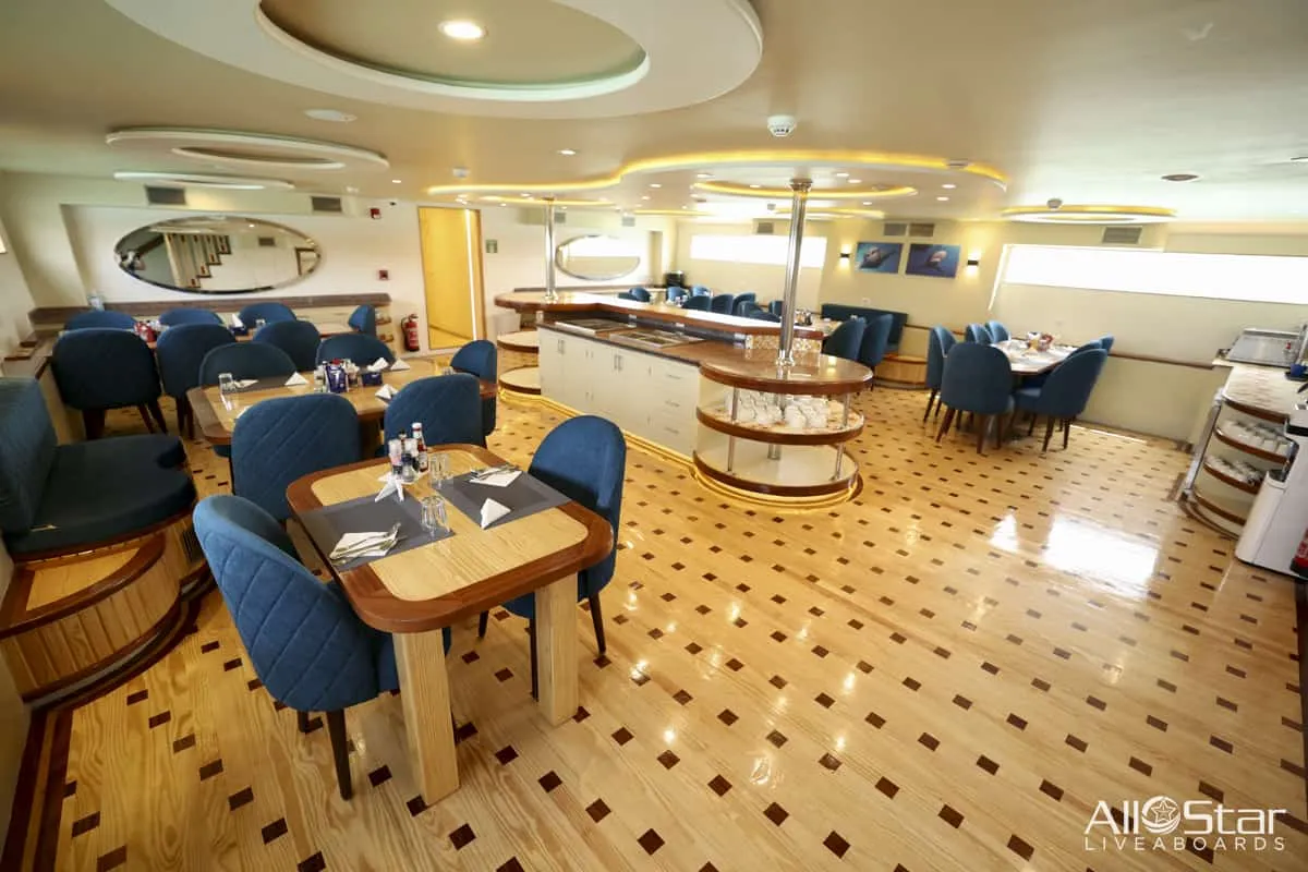 Red Sea BDE Liveaboard June 16-23 2025