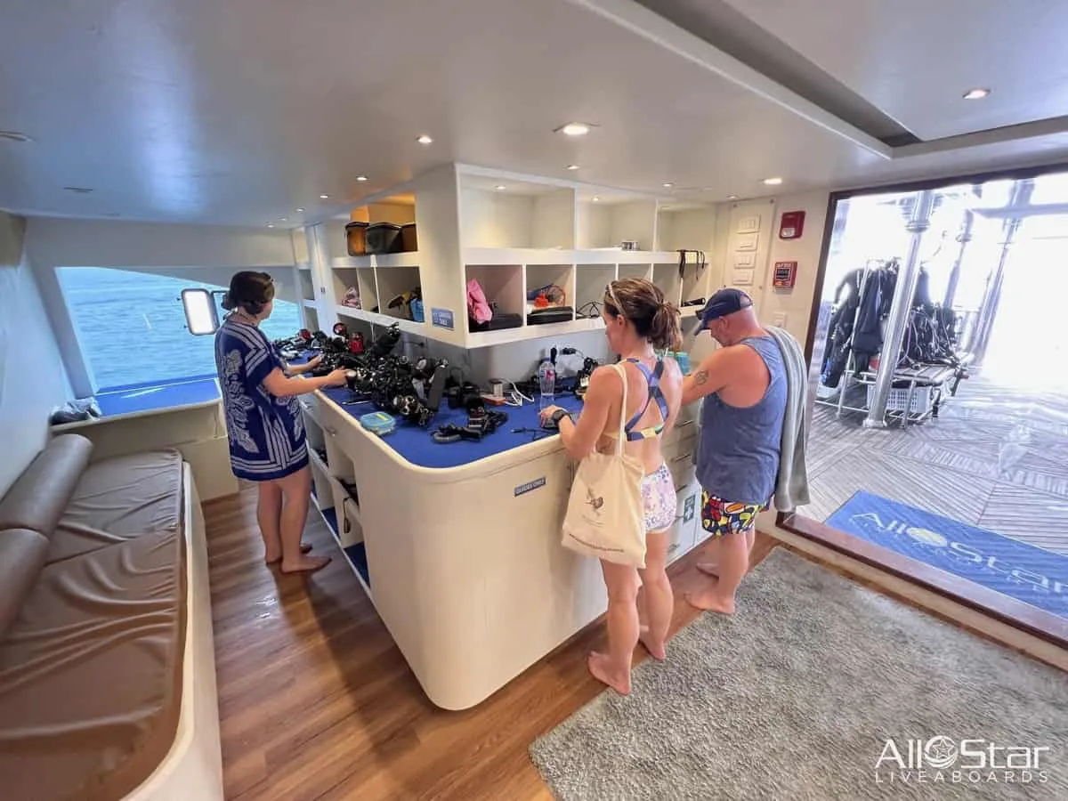 Red Sea BDE Liveaboard June 16-23 2025