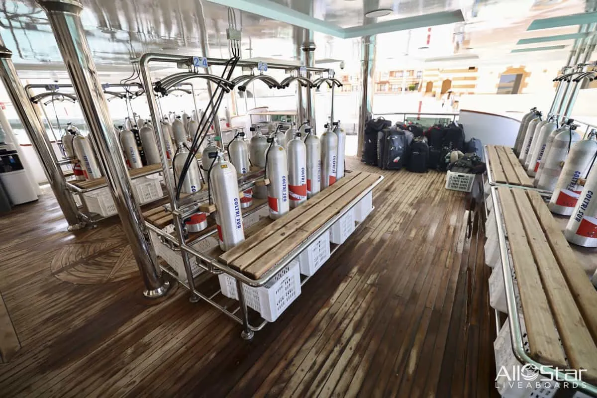 Red Sea BDE Liveaboard June 16-23 2025